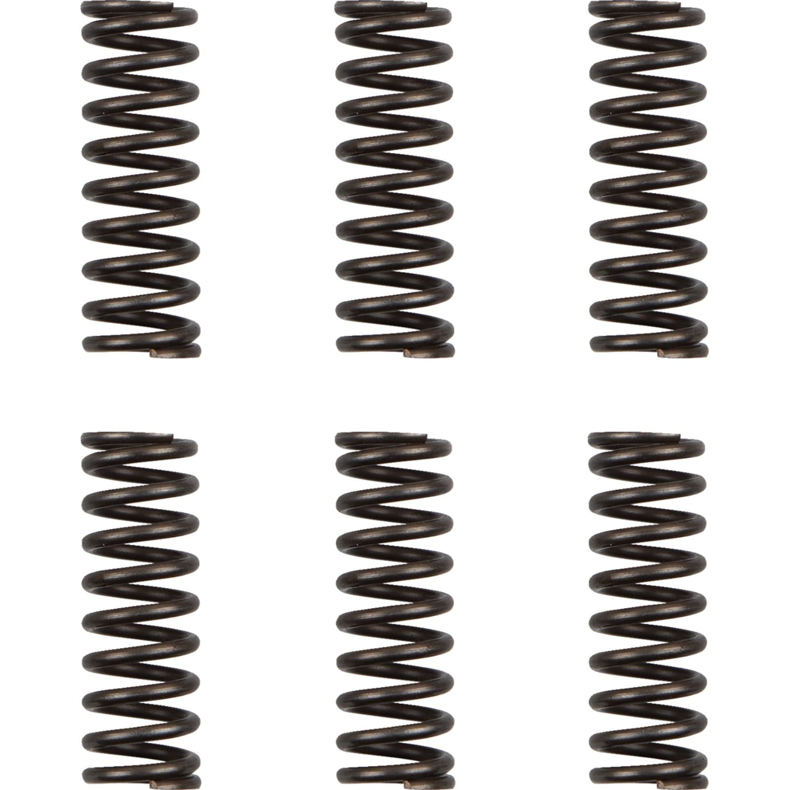 Moose Offroad Clutch Springs HDS-156-6_1164503