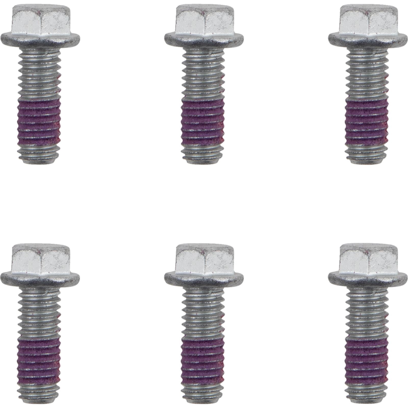 Moto-Master Bolts - Rotor - M6 x 16 [MPN: 12003-PU]_1156813