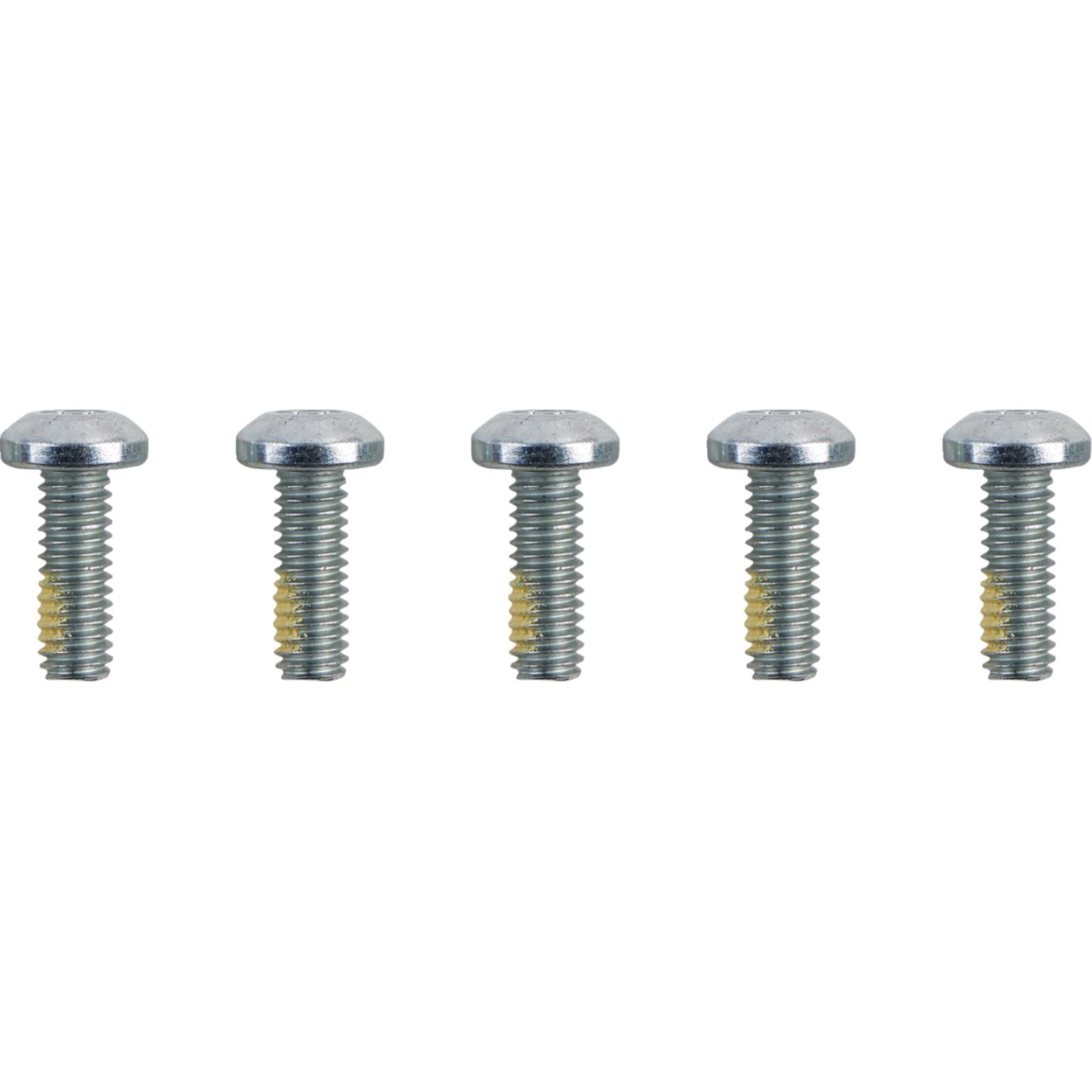 Drag Specialties Hardware Kit - Brake Rotor - Torx - without Nuts - 5/16"-18 2401-1582_1169911