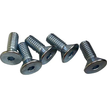 Drag Specialties Screws - Rotor - Front - 5/16"-18 2401-1591_1169364