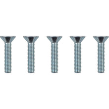 Drag Specialties Screws - Rotor - Front - 5/16"-18 2401-1596_1166427