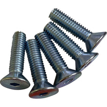 Drag Specialties Screws - Rotor - 3/8"-16 2401-1597_1169360