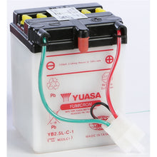 Yuasa Battery YB2.5L-C-1 Conventional electrolyte Sold Separately YUAM22LC1_195674