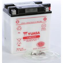 Yuasa Battery YB10L-B2 Conventional electrolyte Sold Separately YUAM221L2_195702
