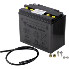 Yuasa Battery YB16-B Conventional electrolyte Sold Separately YUAM2216Y_501493
