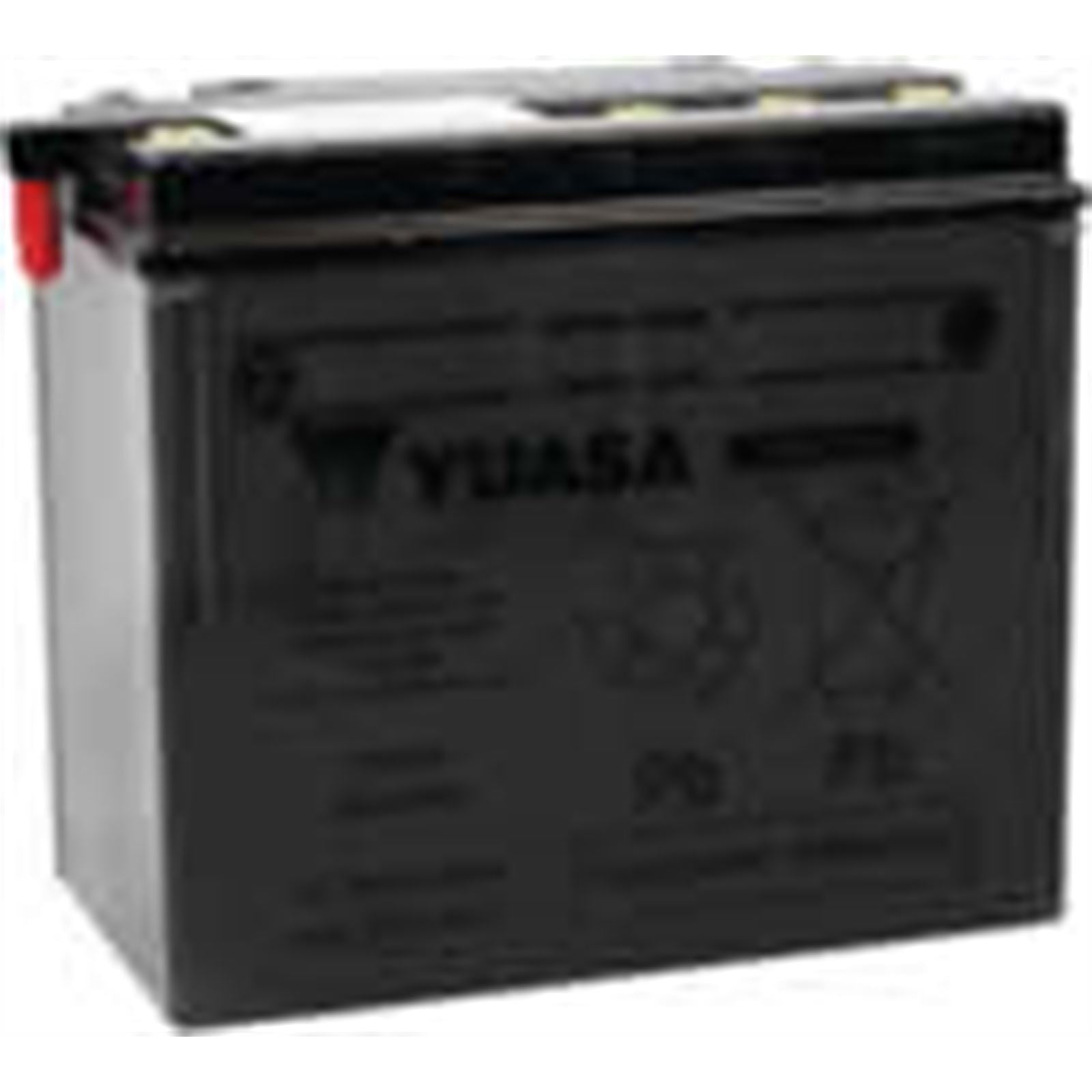 Yuasa Battery YB16-B Conventional electrolyte Sold Separately YUAM2216Y_195718