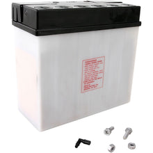 Yuasa Battery 51913 Conventional electrolyte Sold Separately YUAM2219A_501408
