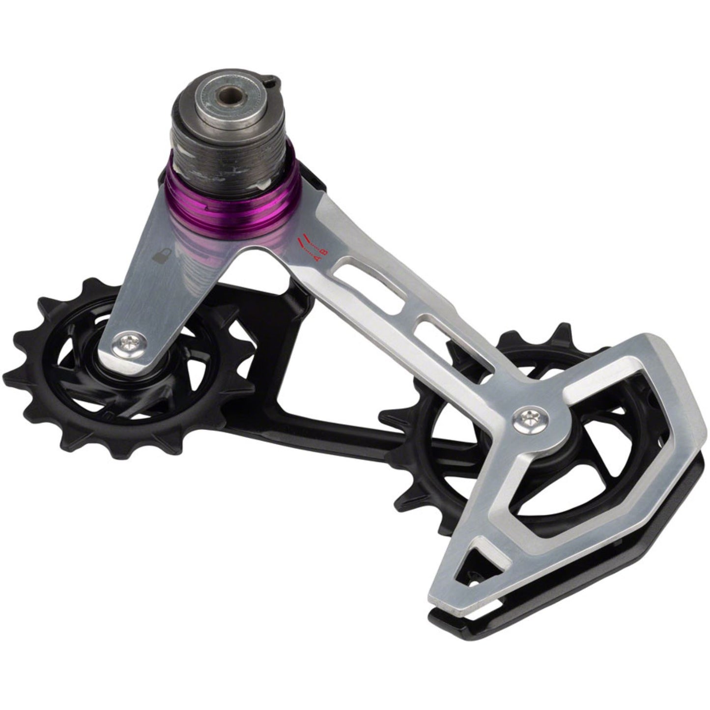 SRAM T-Type AXS Rear Derailleur Cage Assembly Kit - Full Replacement Cage Assembly [MPN: 11.7518.104.011]_1422434