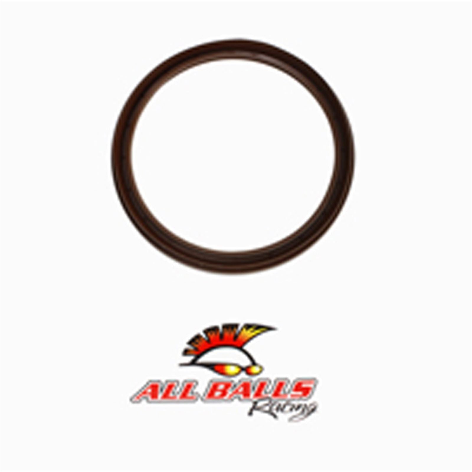 All Balls Brake Drum Seal 30-15801_591080