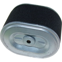 Outside Air Cleaner Element Assembly 5.5-6.5HP 06-0600_198590