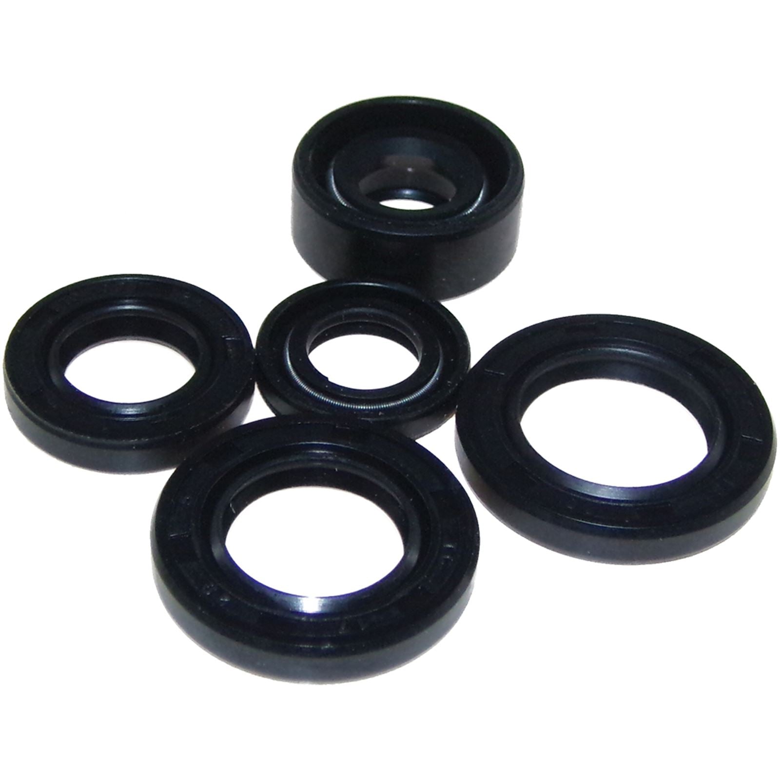 Outside Oil Seal Kit 02-1000_198749