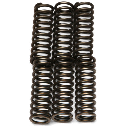 EBC Brakes Clutch Springs CSK125_199011