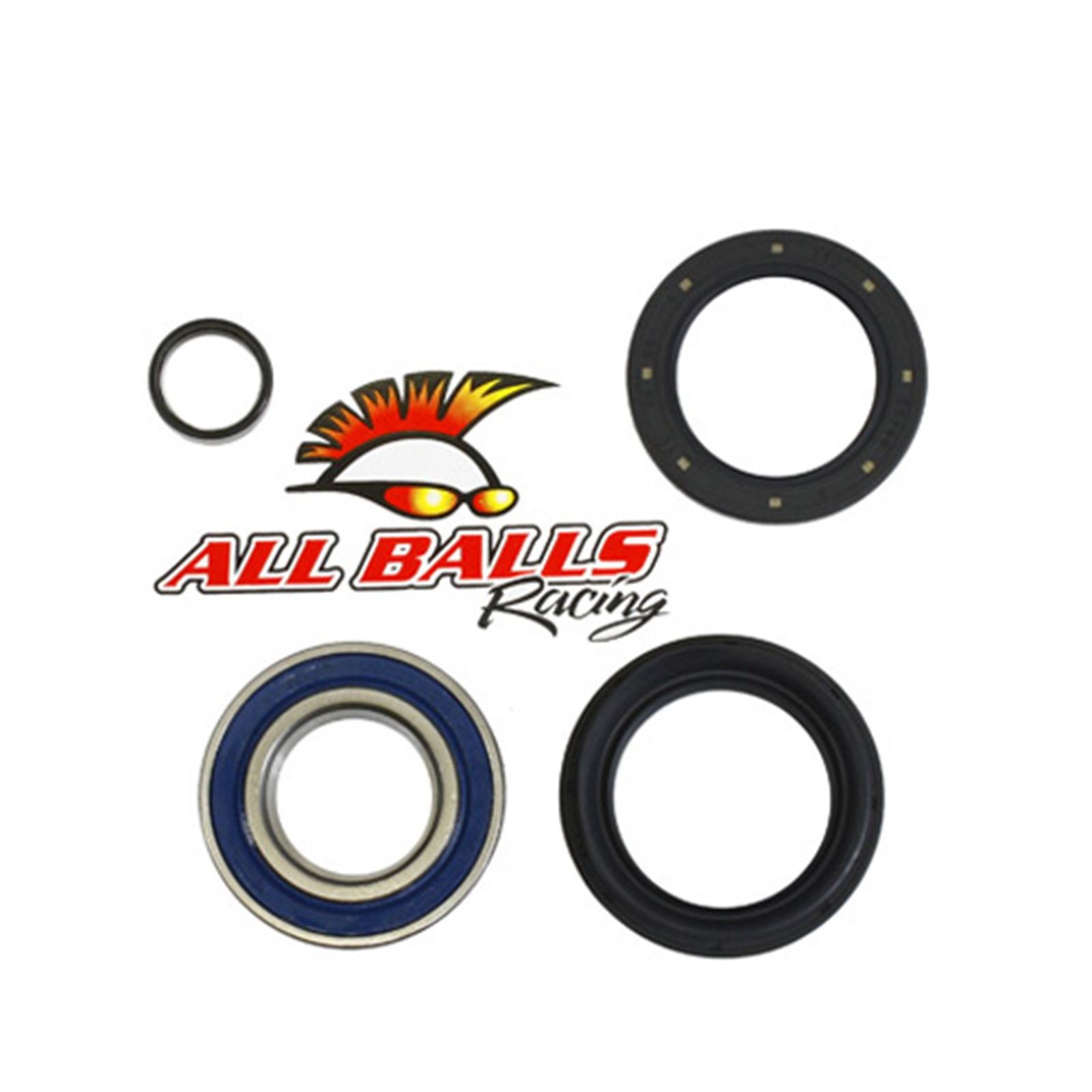 All Balls Wheel Bearing & Seal Kit 25-1005_591593