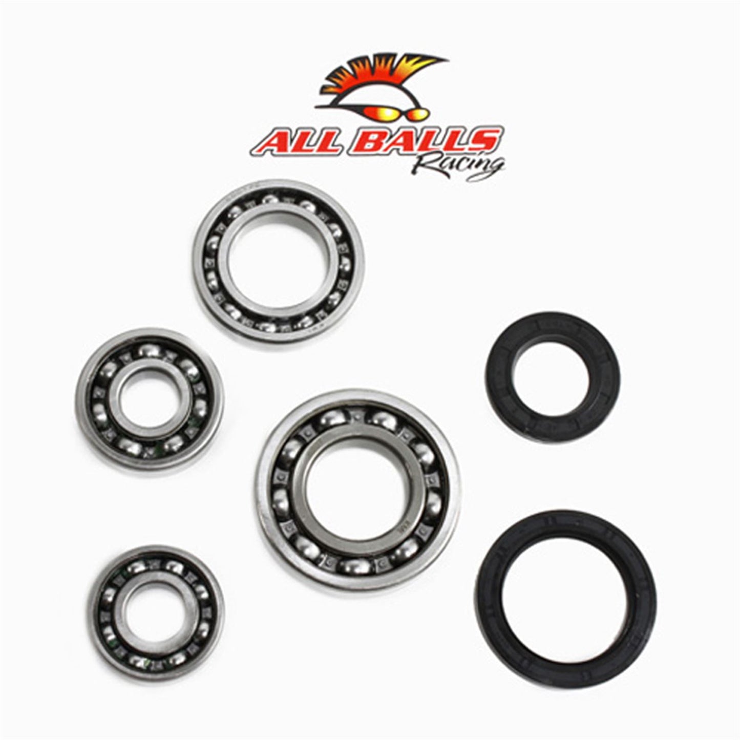 All Balls Rear Differential Bearing and Seal Kit 25-2017_591947