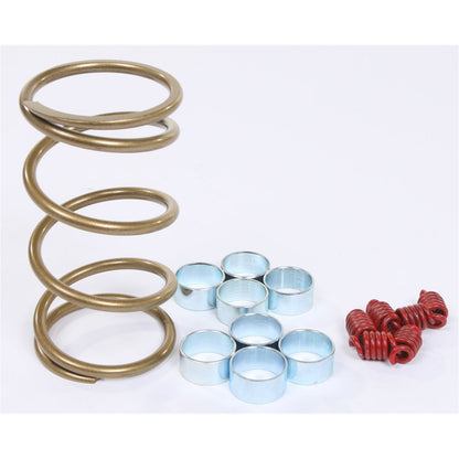 EPI Mudder Clutch Kit WE436635_200512