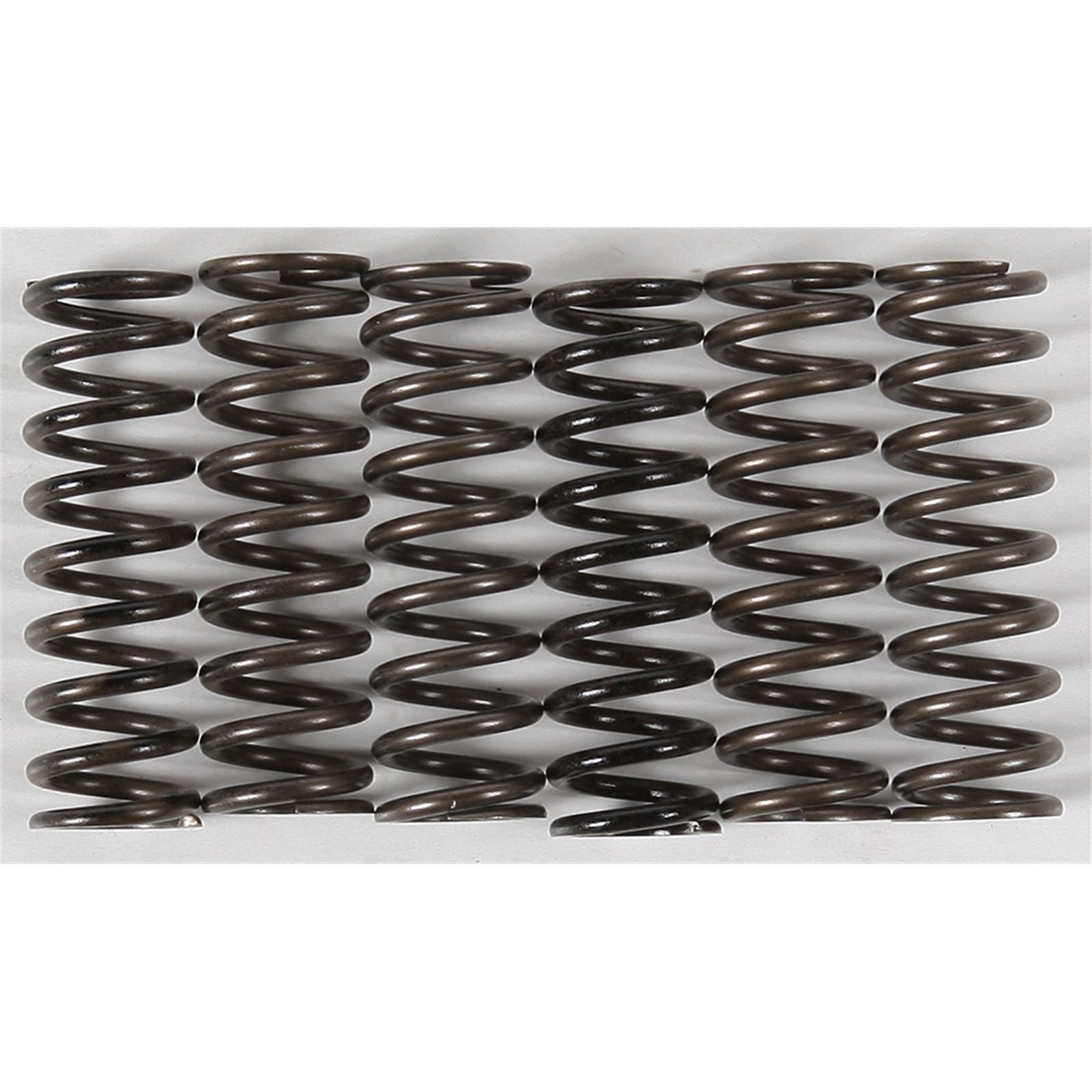 Hinson High Temp Springs 6 Springs [MPN: CS216-6-0315]_200717