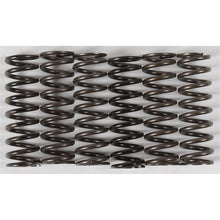 Hinson High Temp Springs 6 Springs [MPN: CS216-6-0315]_200717