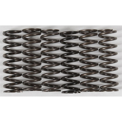 Hinson High Temp Springs 6 Springs [MPN: CS216-6-0315]_200717