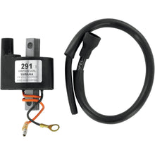 Ricks Ignition Coil [MPN: 23-401]_465165