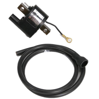 Ricks Ignition Coil [MPN: 23-501]_592112