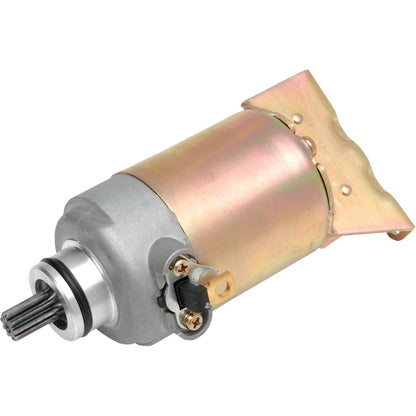 Ricks Starter Motor [MPN: 61-207]_465259