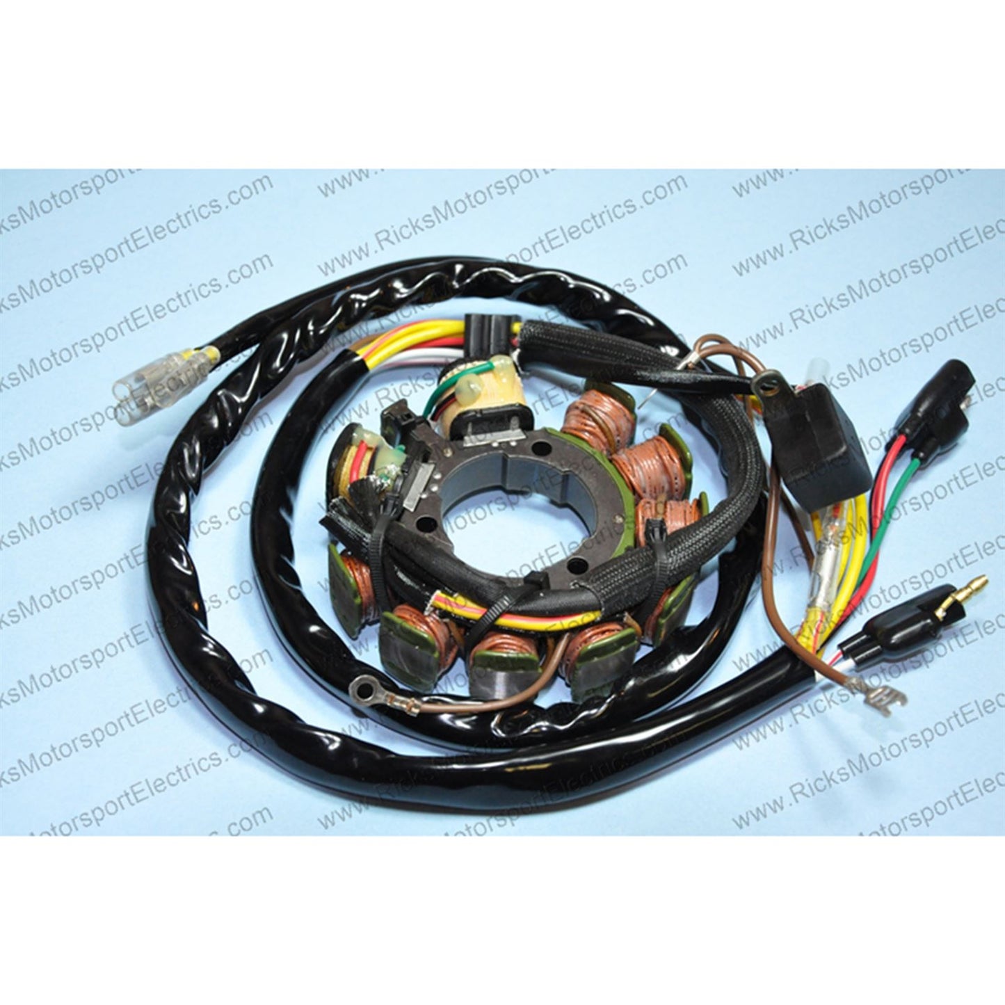 Ricks Stator [MPN: 21-553]_592225