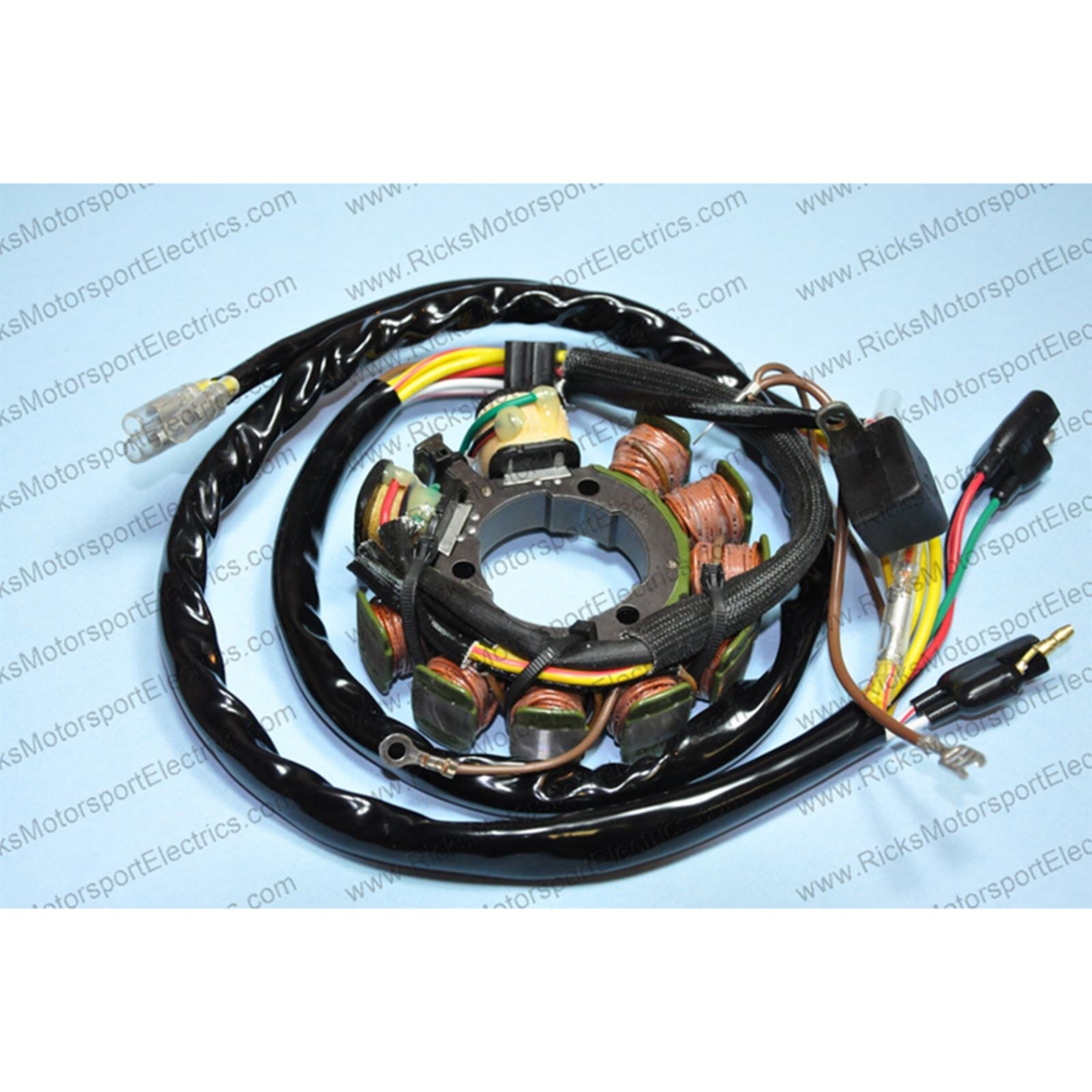 Ricks Stator [MPN: 21-553]_592225