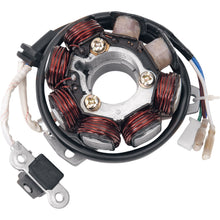Ricks Stator [MPN: 21-602H]_465514