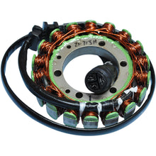 Ricks Stator [MPN: 21-713H]_465737