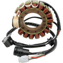 Ricks Stator [MPN: 21-919]_465570