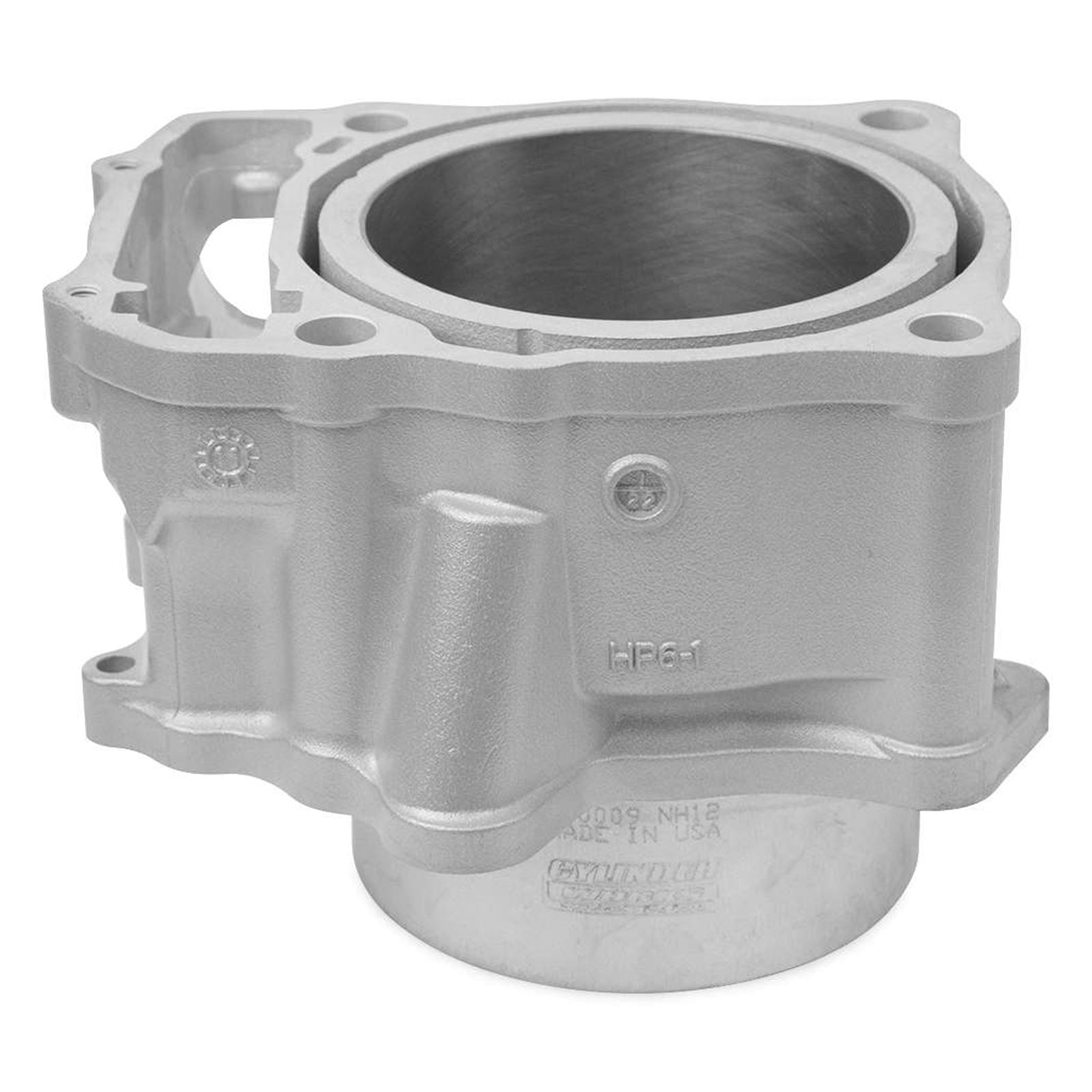 Cylinder Works Standard Bore Cylinder TRX700XX '08-09 [MPN: 10009]_202895