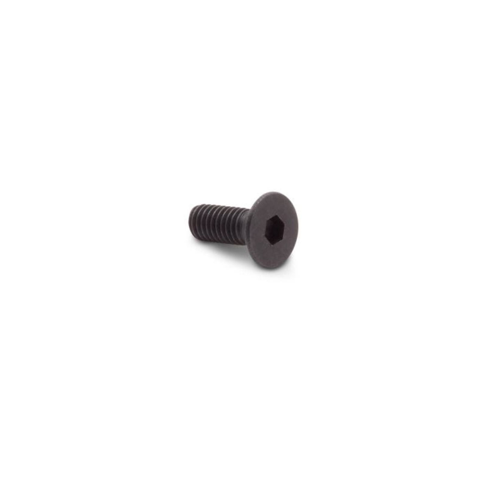 Motion Pro Blade Screw - Gasket Scraper C08-0601D_1174447