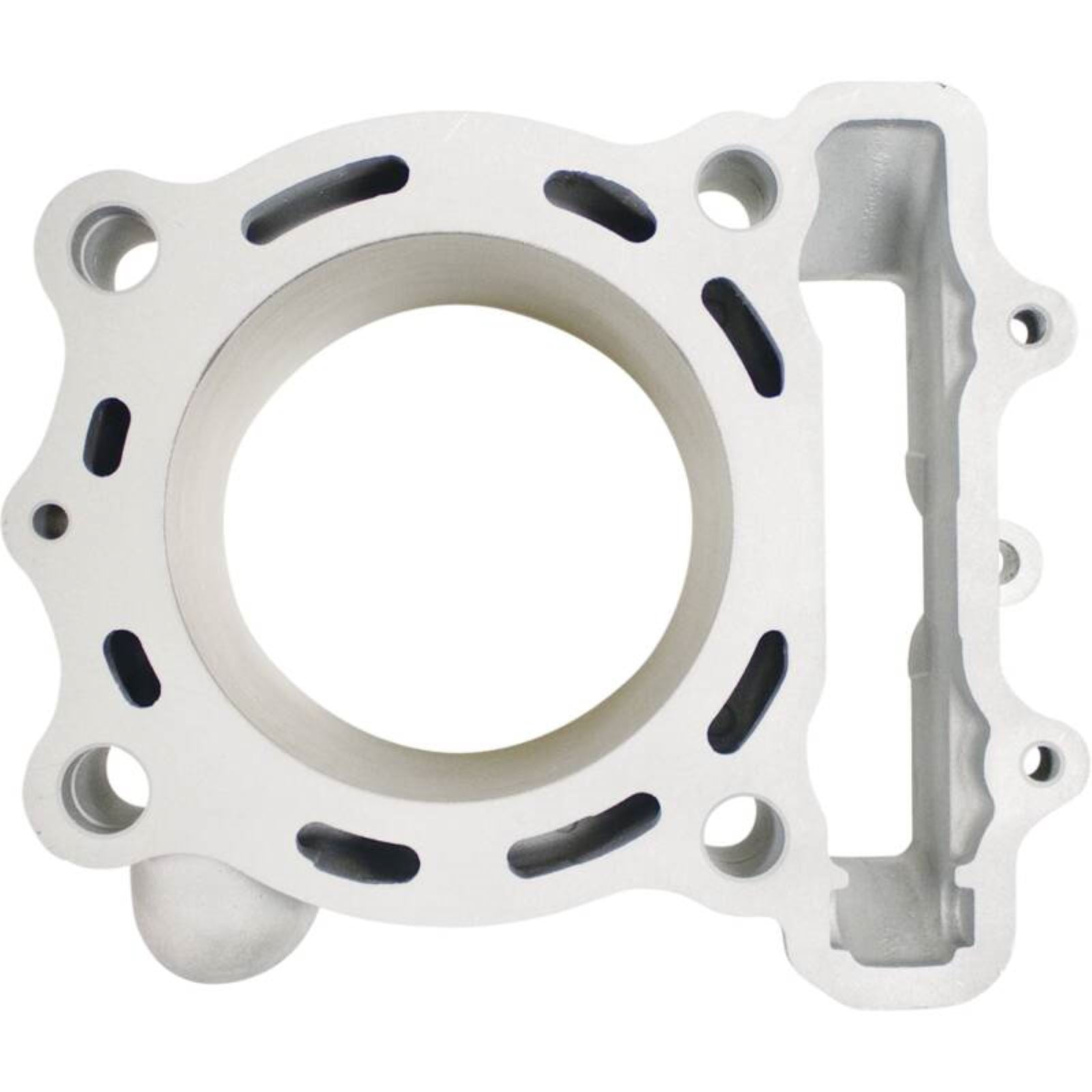 Cylinder Works Standard Bore Cylinder Kit  [MPN: CW30017K01]_1618295