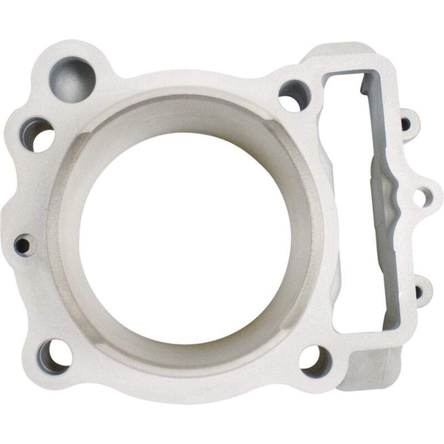 Cylinder Works Standard Bore Cylinder Kit  [MPN: CW30017K01]_1618286