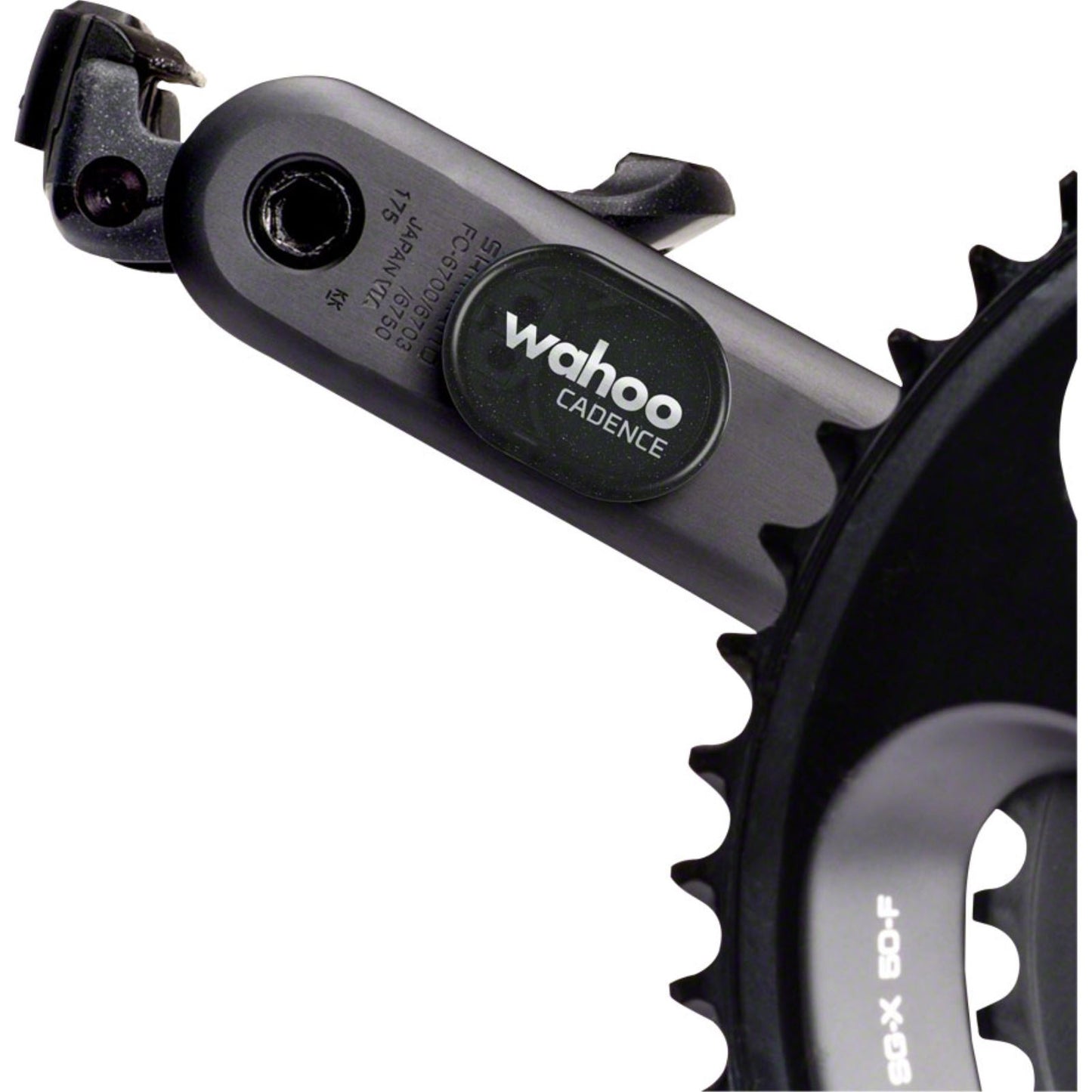 Wahoo Fitness RPM Cadence Sensor with Bluetooth/ANT+ [MPN: WFPODCAD2]_1188370