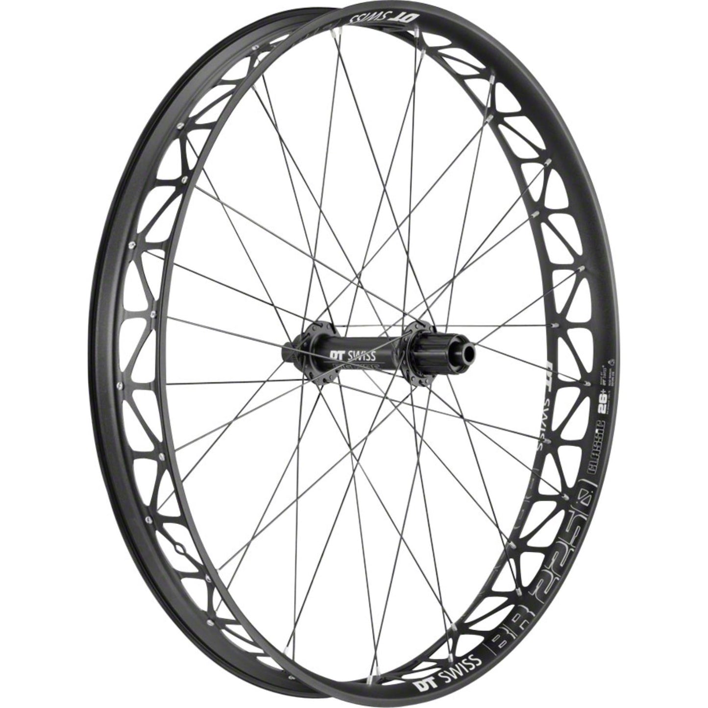 DT Swiss Big Ride Rear Wheel - 26", 12 x 197mm, Center-Lock, Black [MPN: WBR2250SCDTS012655]_1205898