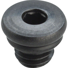 Shimano Brake Lever Bleed Screw with O-ring - "B" [MPN: Y8V398010]_1214678