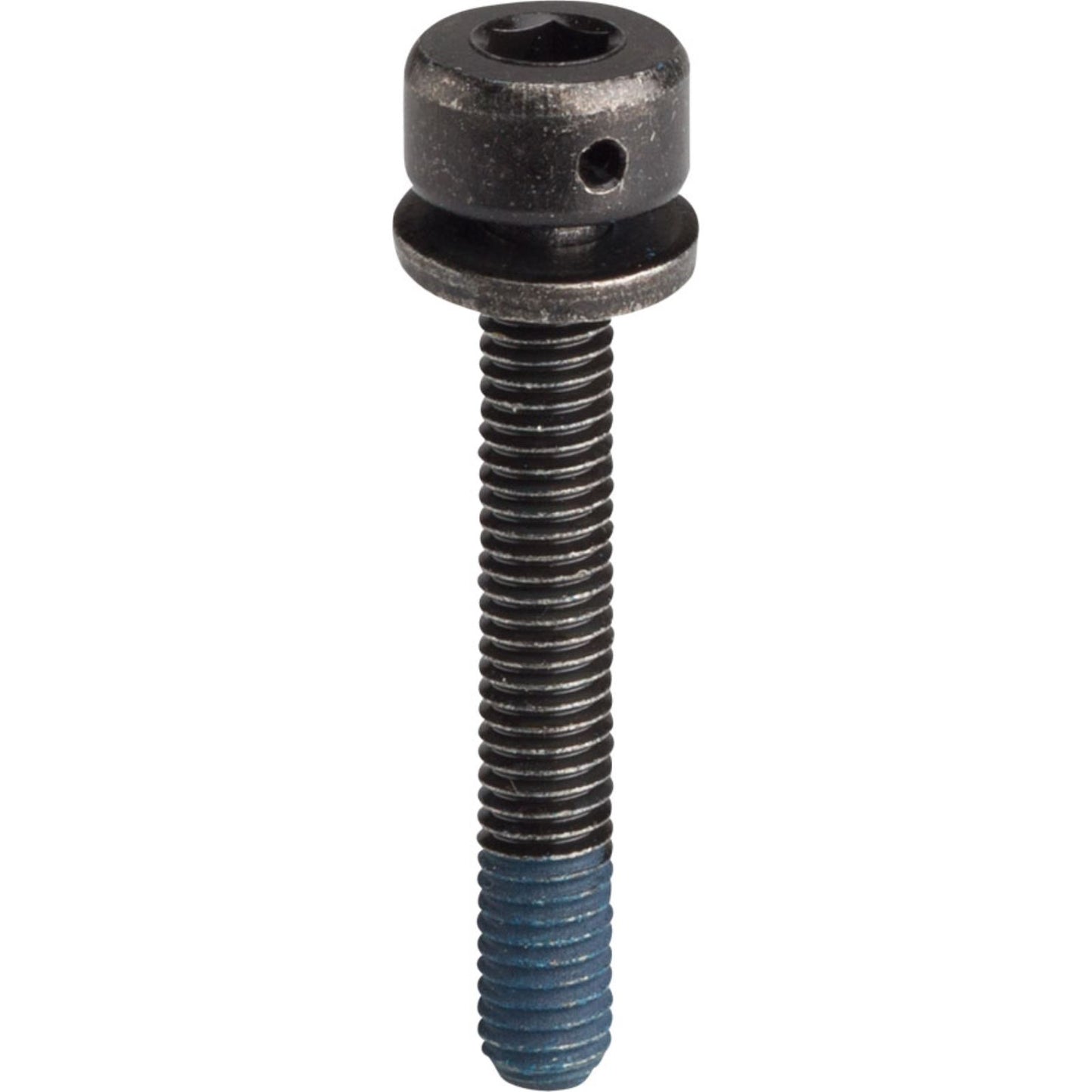 Shimano 31.8mm Disc Brake Caliper Fixing Bolt, for 74mm Caliper [MPN: Y81743250]_1216989