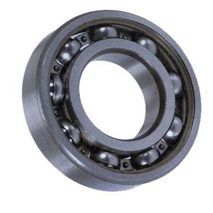 ProX Crankshaft Bearing 23.NJ206_593195