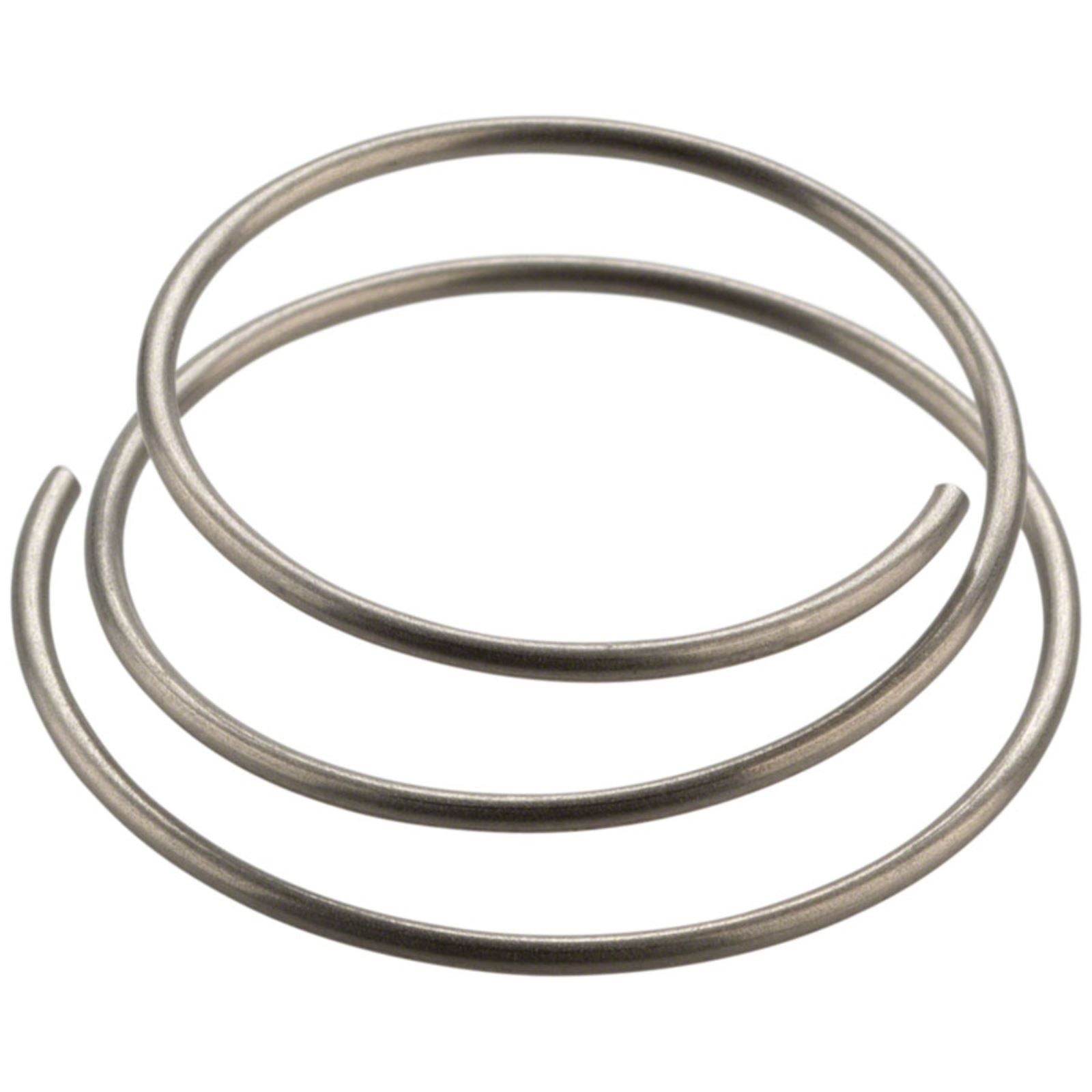 DT Swiss Star Ratchet Spring [MPN: HXDXXX00N1087S]_1228964