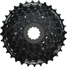Shimano Cassette - 8 Speed - 12-32t - Black - Tourney CS-HG200  [MPN: ECSHG2008232T]_1230037