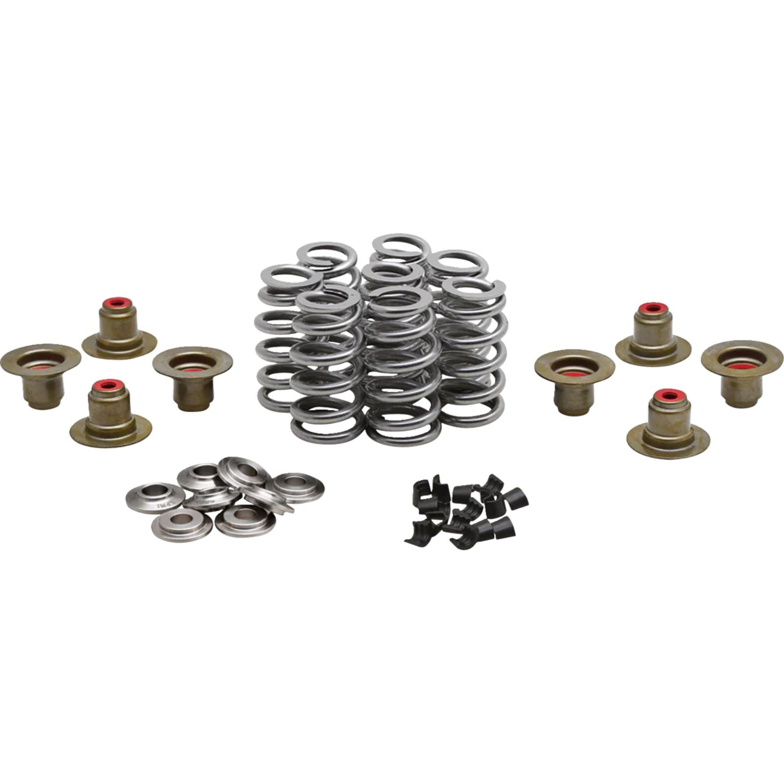 KPMI Beehive Spring Kit - 0.640" Lift - Titanium - M8/ CVO [MPN: 20-24350]_1498879