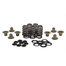KPMI Beehive Spring Kit - 0.640" Lift - Titanium - M8/ CVO [MPN: 20-24350]_1265432