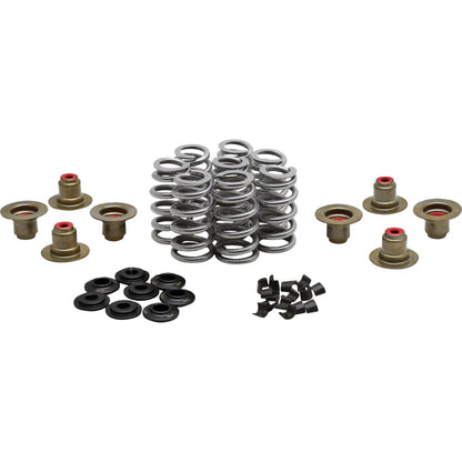 KPMI Beehive Spring Kit - 0.640" Lift - H.T. Steel - M8/ CVO [MPN: 20-24400]_1498878