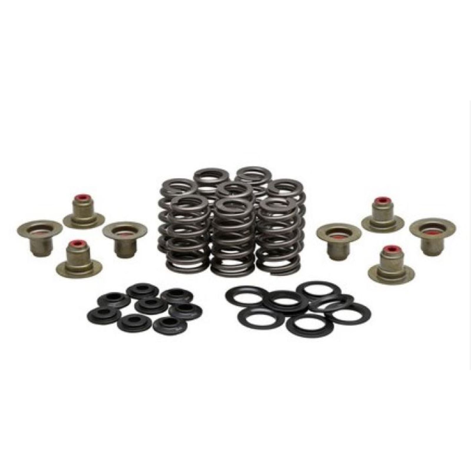 KPMI Beehive Spring Kit - 0.640" Lift - H.T. Steel - M8/ CVO [MPN: 20-24400]_1265433