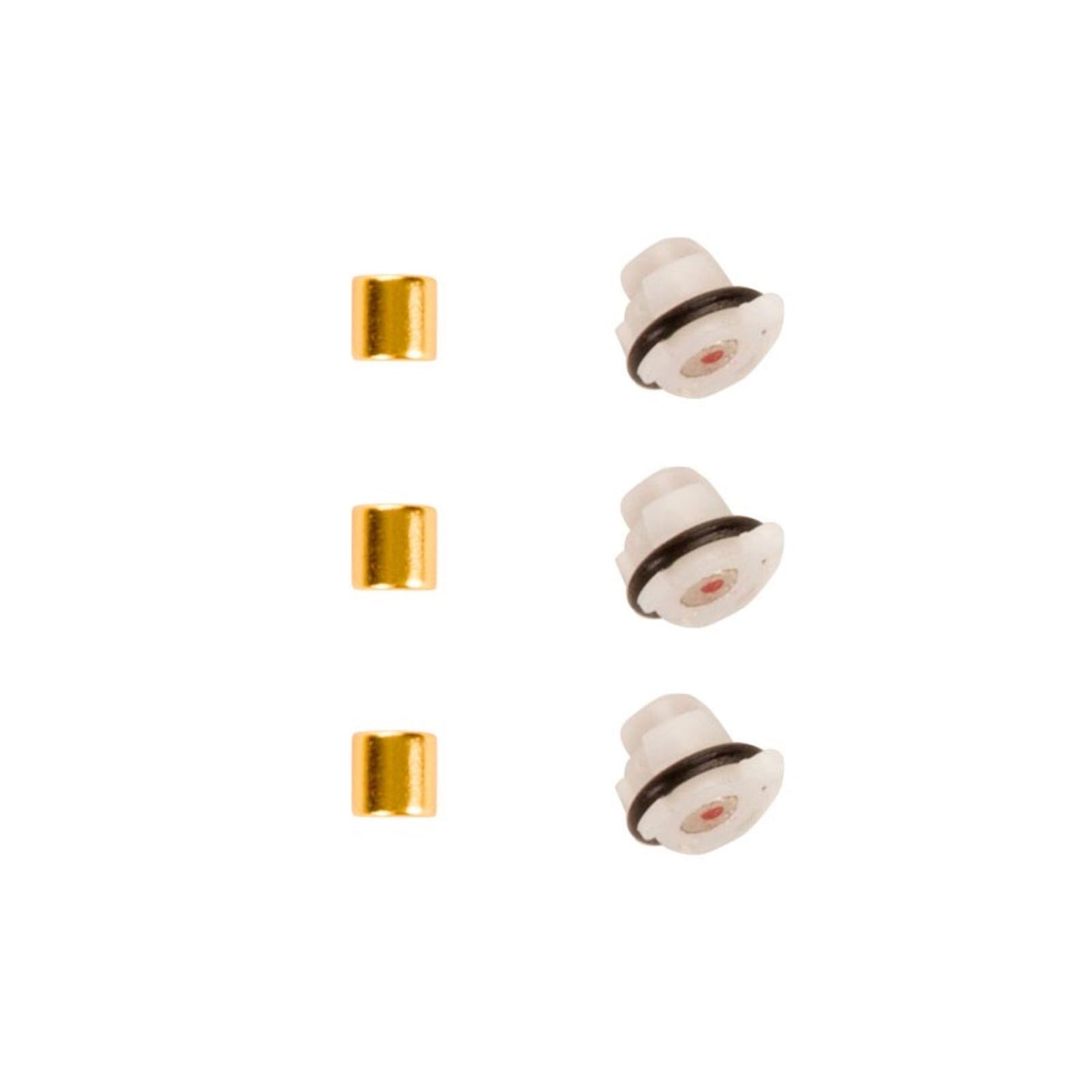 Zipp Magnet Set for Cognition NSW Clutch, Inner and Outer, Rear Wheel [MPN: 11.2018.035.001]_1304544