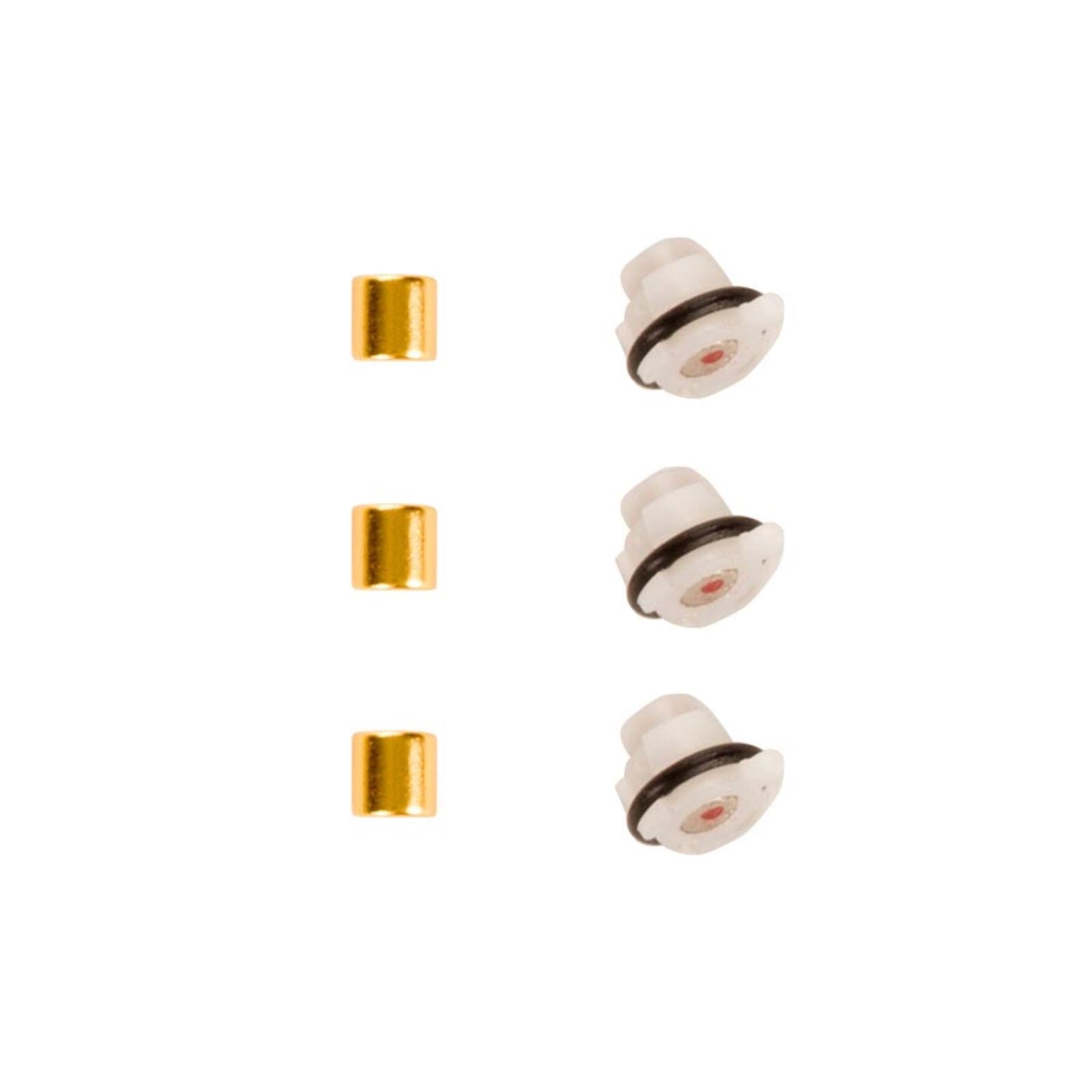 Zipp Magnet Set for Cognition NSW Clutch, Inner and Outer, Rear Wheel [MPN: 11.2018.035.001]_1304544