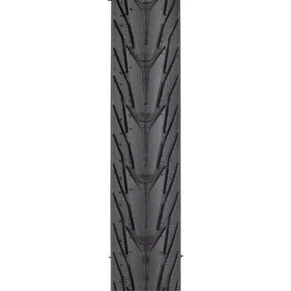 Schwalbe Energizer Plus Tire - 700 x 50, Clincher, Wire, Black/Reflective 11101371_1266664