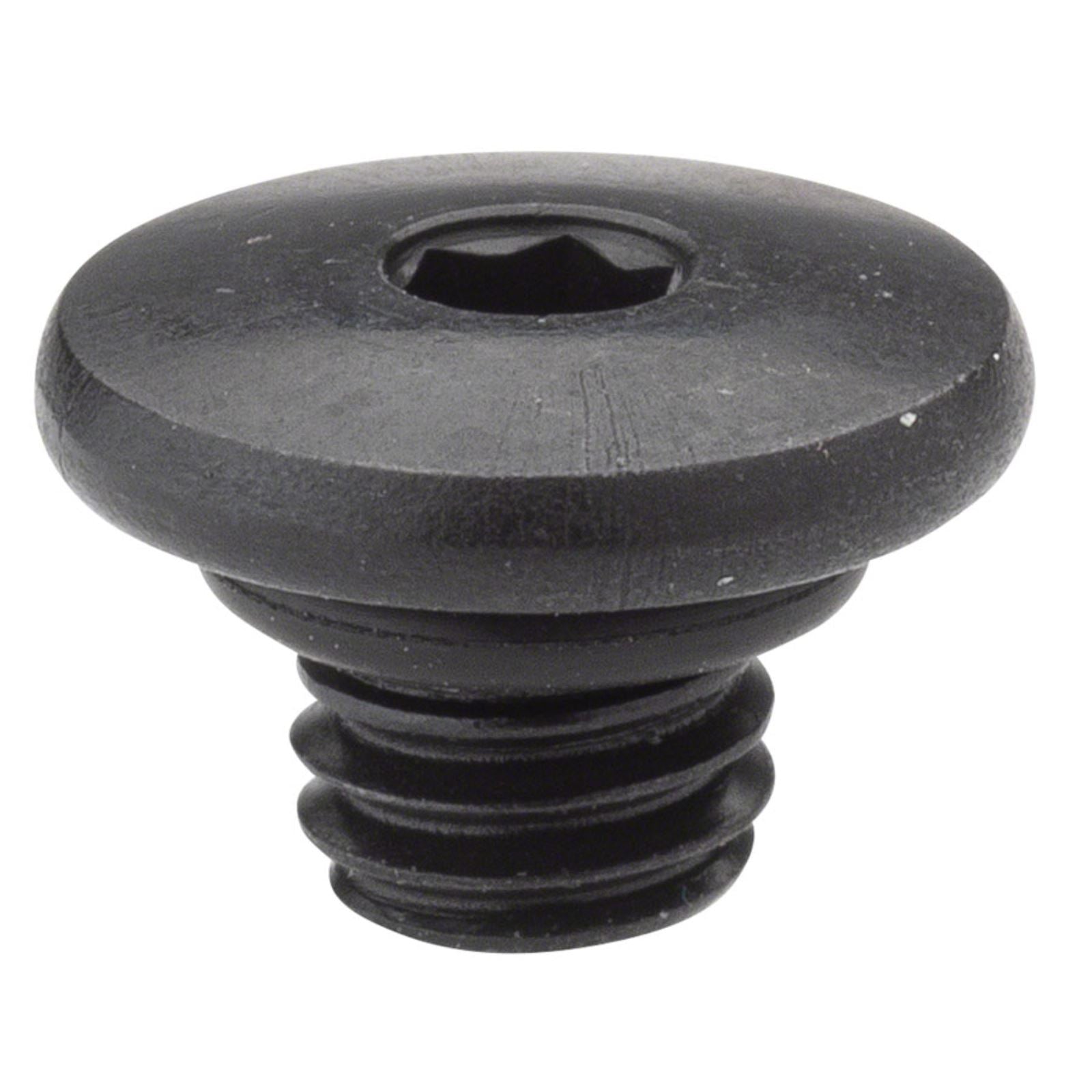 Shimano Hydraulic Brake Lever - Bleed Screw & O-Ring - XT BL-M785  [MPN: Y8VC98010]_1271891