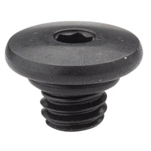 Shimano Hydraulic Brake Lever - Bleed Screw & O-Ring - XT BL-M785  [MPN: Y8VC98010]_1271891